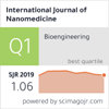 International Journal Of Nanomedicine